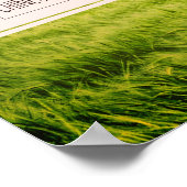 木最高のを植える時間 ポスター (角)