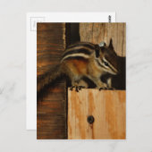 木材とチップマンク ポストカード (正面/裏面)