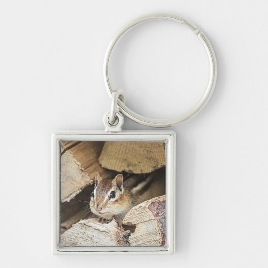 木材の中のチップムンク キーホルダー (正面)