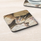 木材の中のチップムンク コースター (左側)