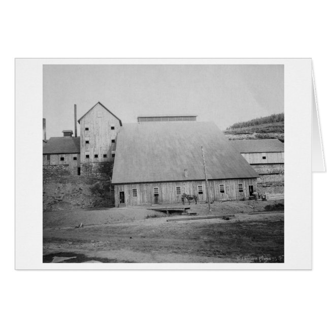 木材の消却作業写真 (正面横)