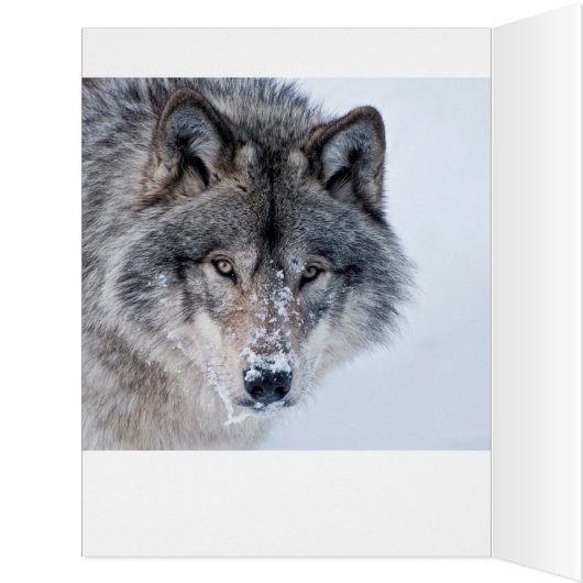 木材ウルフカード (内側(左))