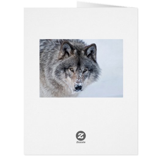 木材ウルフカード (裏面)