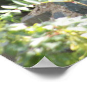 木材オオカミの休息。 ポスター (角)