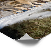 木材オオカミ ポスター (角)