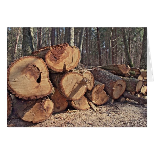 木材カード (正面横)