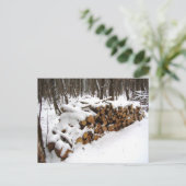 木材ポストカードの丸太 ポストカード (スタンド正面)