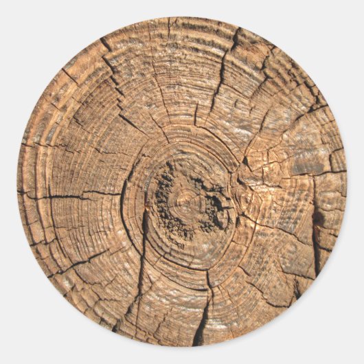 木材ログ ラウンドシール (正面)