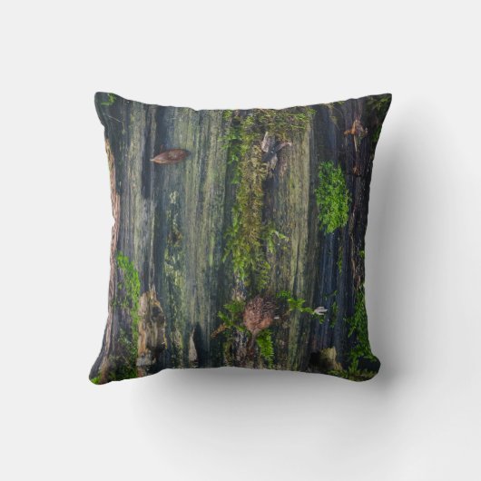 木材寿命 クッション (裏面)