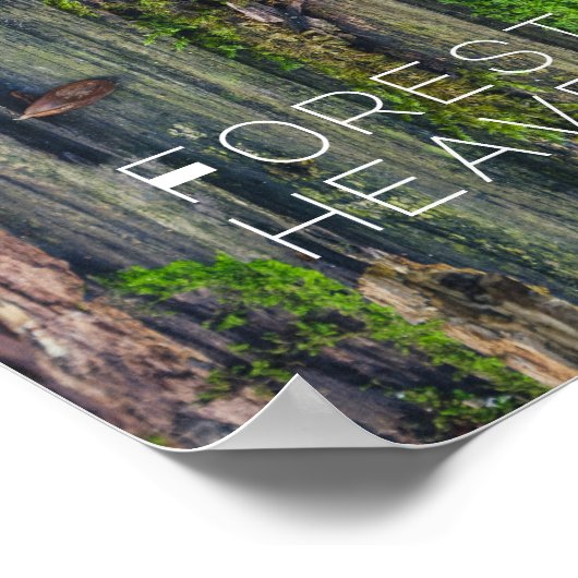 木材寿命 ポスター (角)