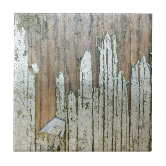 木材 タイル (正面)