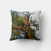 木枕 クッション (裏面)