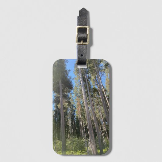 木林自然林 ラゲッジタグ (正面縦)