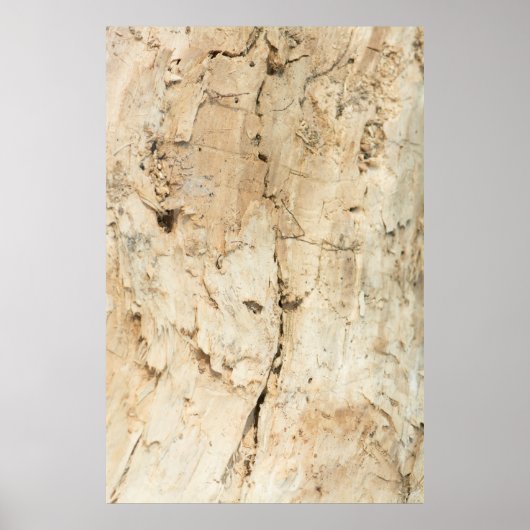 木柄 ポスター (正面)