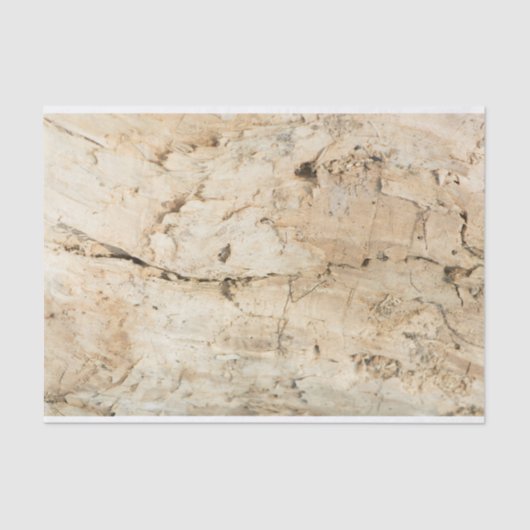 木柄 薄葉紙 (正面)