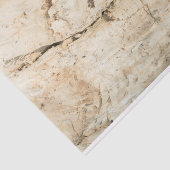 木柄 薄葉紙 (詳細)