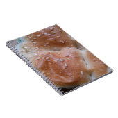 木棚の穀物パン、健康食品転が、 ノートブック (右側)