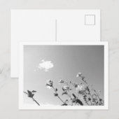 木槿の花 ポストカード (正面/裏面)