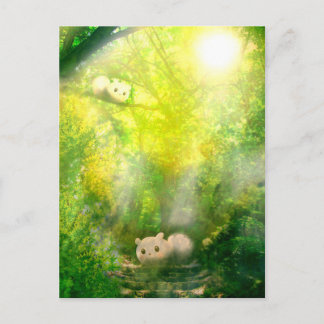 木漏れ日2ごう ポストカード