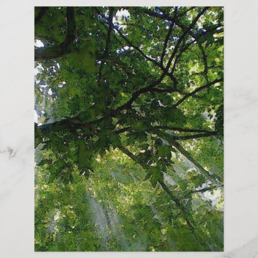 木漏れ日 チラシ (正面)