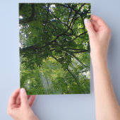 木漏れ日 チラシ (手)