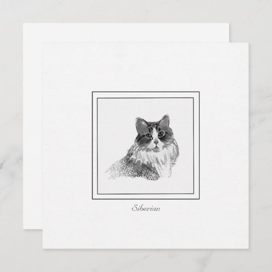 木炭エレガントとチョークのシベリア猫スケッチ ノートカード (正面/裏面)