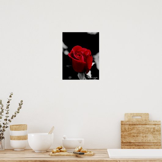 木炭バラ ポスター (キッチン)
