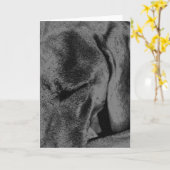 木炭Ruka カード (黄色い花)