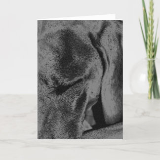 木炭Ruka カード