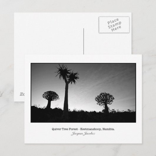 木版はがき ポストカード (正面/裏面)