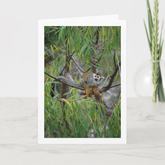 木猿 カード (正面)