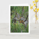 木猿 カード (黄色い花)