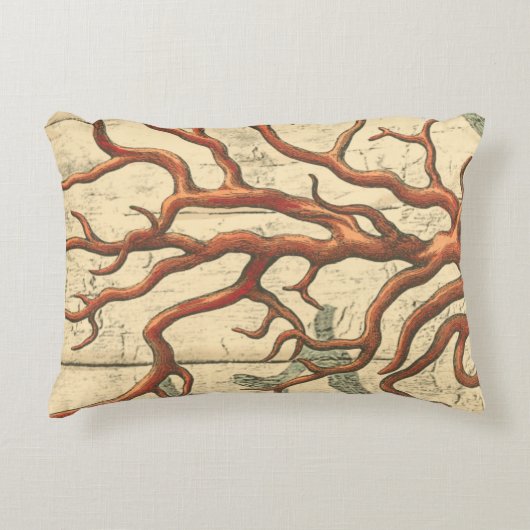 木珊瑚 アクセントクッション (正面)