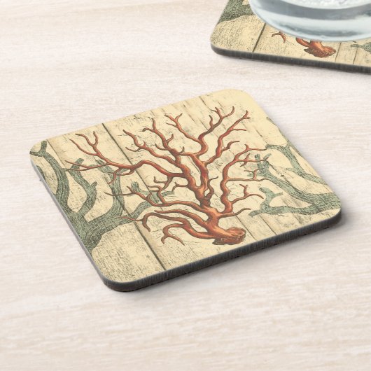 木珊瑚 コースター (左側)