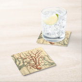 木珊瑚 スクエアペーパーコースター (インサイチュ)