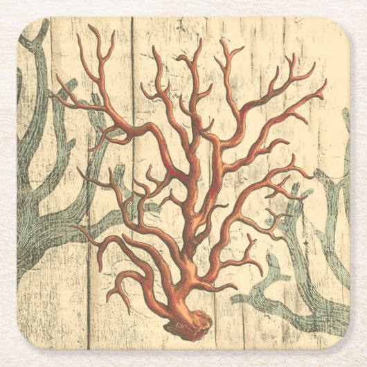 木珊瑚 スクエアペーパーコースター (正面)