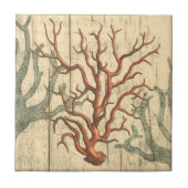木珊瑚 タイル (正面)