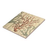 木珊瑚 タイル (側面)