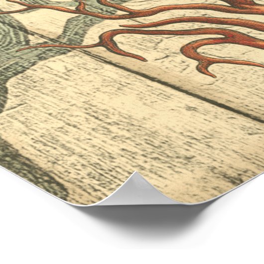 木珊瑚 ポスター (角)