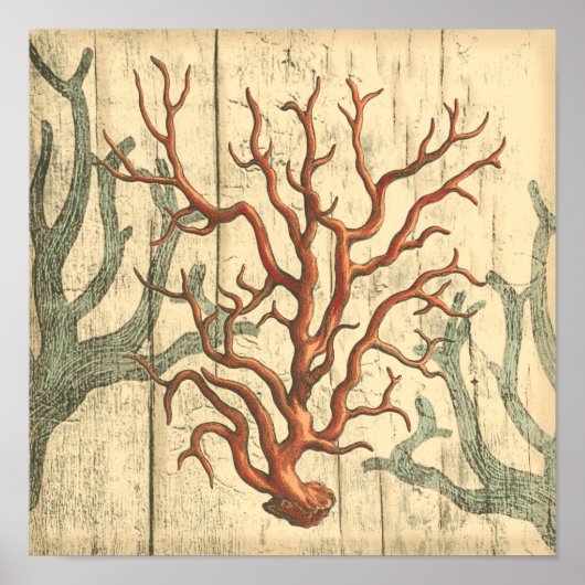 木珊瑚 ポスター (正面)