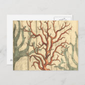 木珊瑚 ポストカード (正面/裏面)