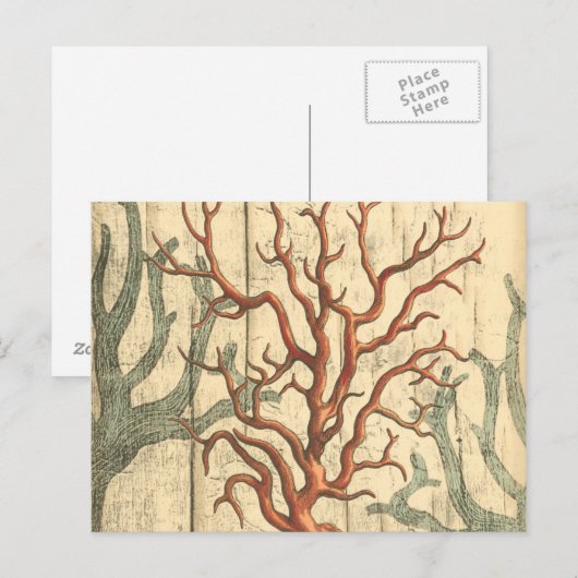 木珊瑚 ポストカード (正面/裏面)