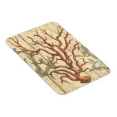 木珊瑚 マグネット (右側)