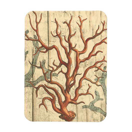 木珊瑚 マグネット (縦)
