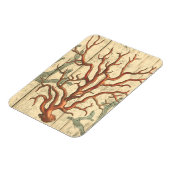 木珊瑚 マグネット (左側)