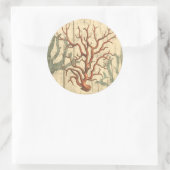 木珊瑚 ラウンドシール (バッグ)