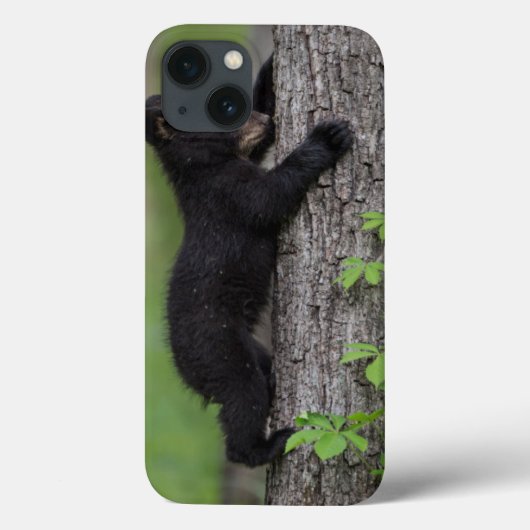 木登りする子グマ Case-Mate iPhoneケース (裏面)