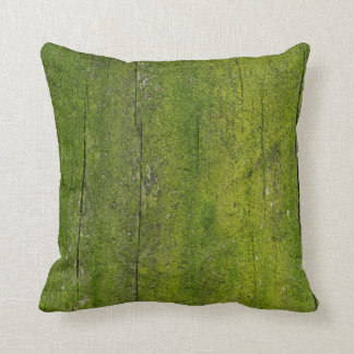 木目のテクスチャーに含まれるコケ クッション