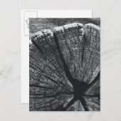 木目詳細 ポストカード (正面/裏面)