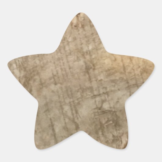 木目 星シール (正面)